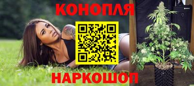 СК Донской