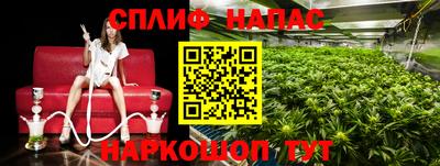 СК Донской