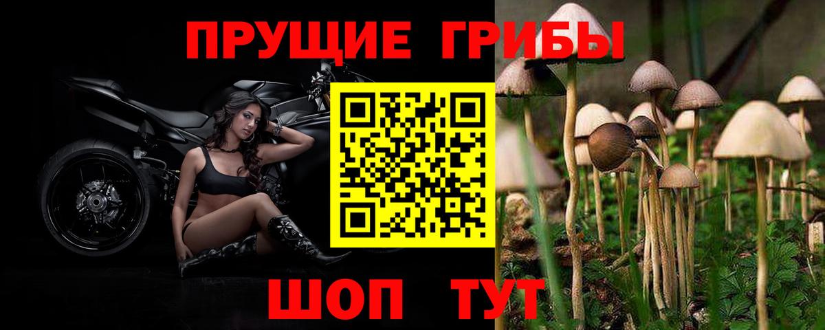 Псилоцибиновые грибы GOLDEN TEACHER Кумертау
